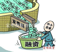 融资流程全解析 宏明投资咨询的专业引导